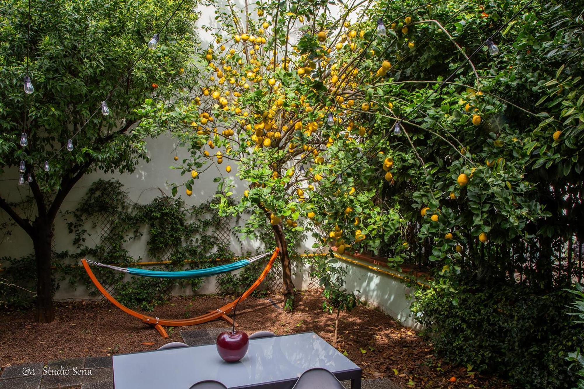 Utopia Bed & Breakfast Marigliano Kültér fotó